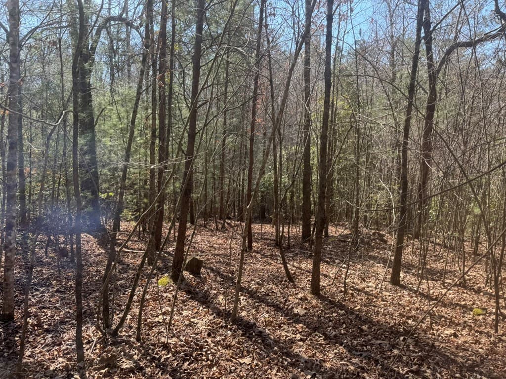 Residential Lot at 00 Blue Ridge Heights, Hayesville, NC 28906, Hayesville, photo 11 of 11