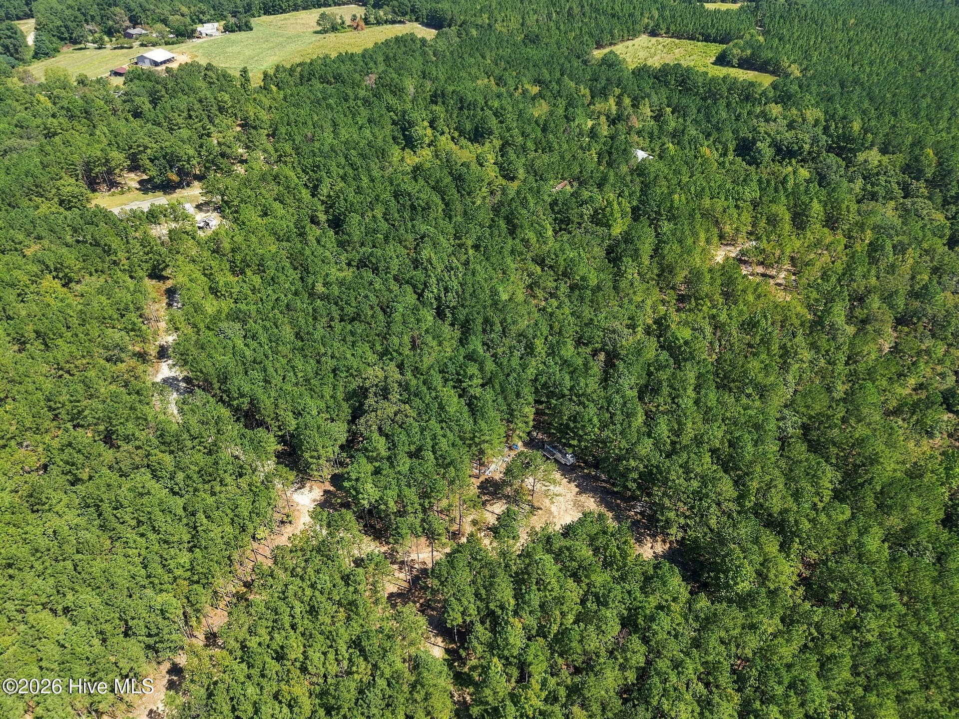 Undeveloped at 260 Full Bright Lane, Cameron, NC 28326, photo 6 of 15