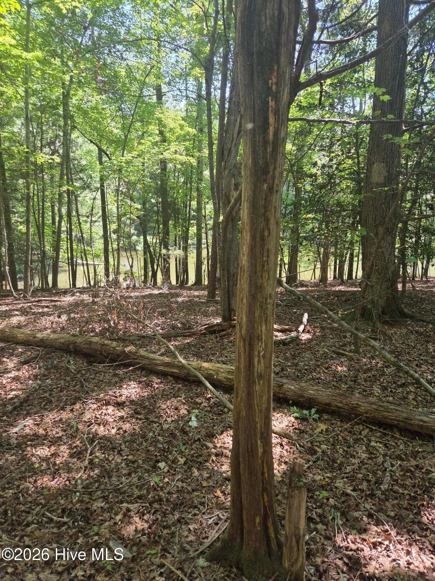 Residential Lot at Lot 45b 45B Appaloosa Lake Drive, Carthage, NC 28327, Carthage, photo 5 of 19