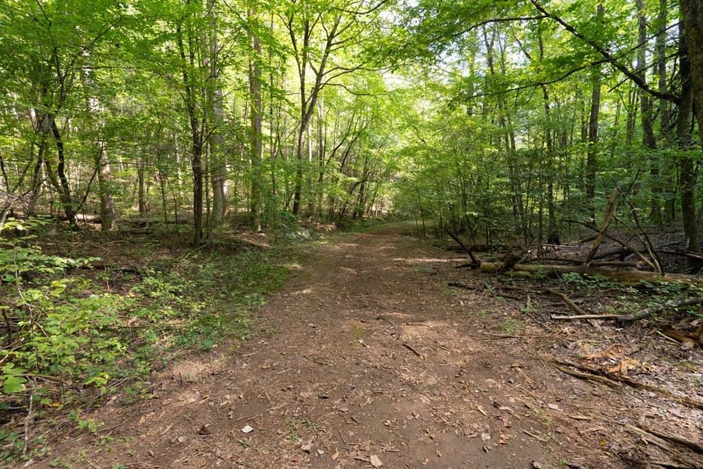 26.98 Ac TR 2 Tusquittee, Hayesville, NC 28904