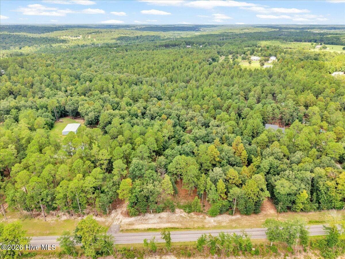Wooded at 4359 Storm Branch Road, Aiken, SC 29803, photo 34 of 57