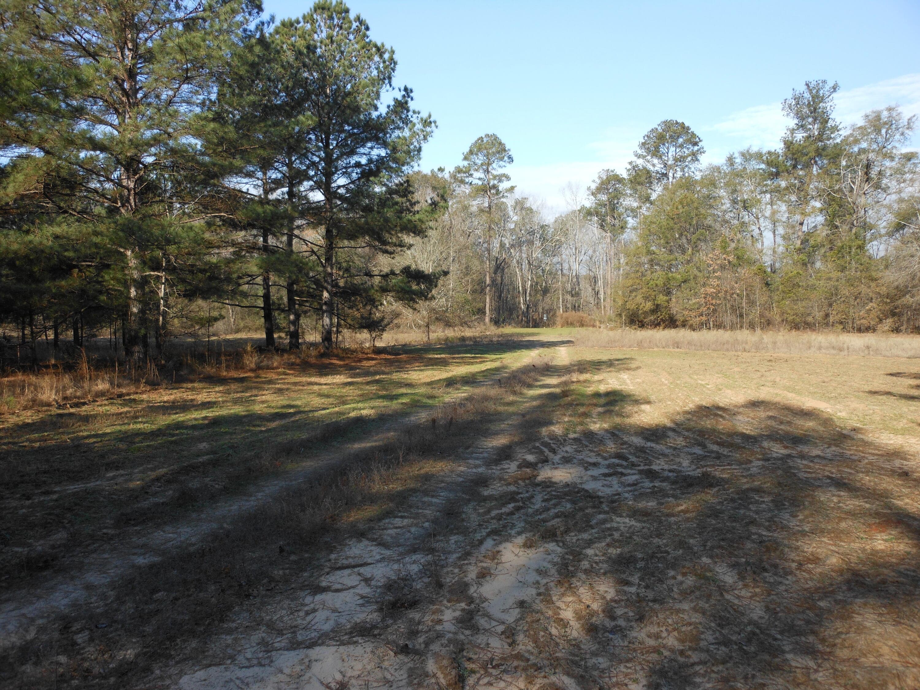 Undeveloped at 0 Ponderosa Road, Waynesboro, GA 30830, photo 22 of 45