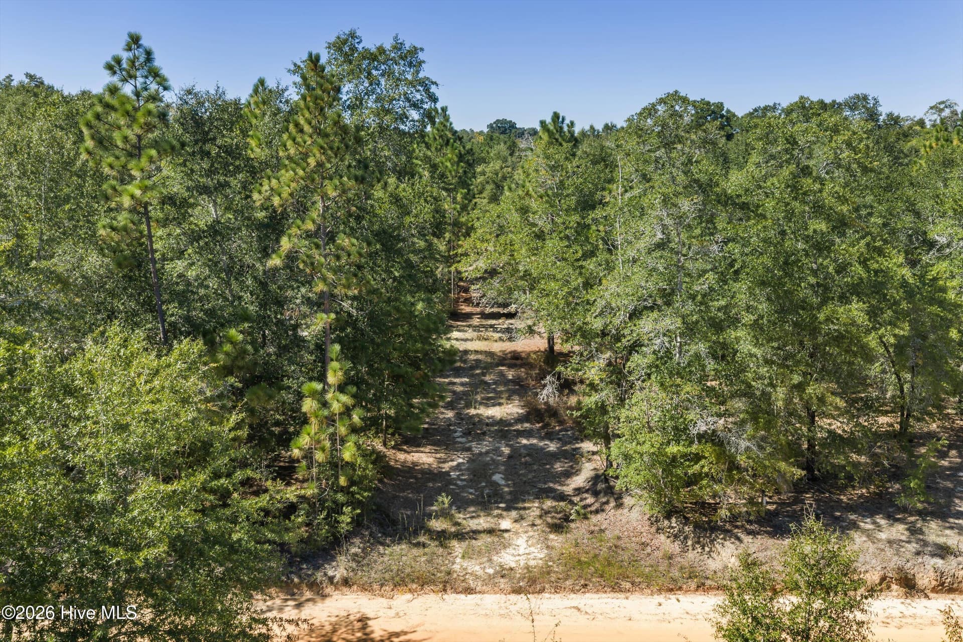 Residential Lot at 000.0 Mary Rawls Road, Wagener, SC 29164, photo 4 of 21