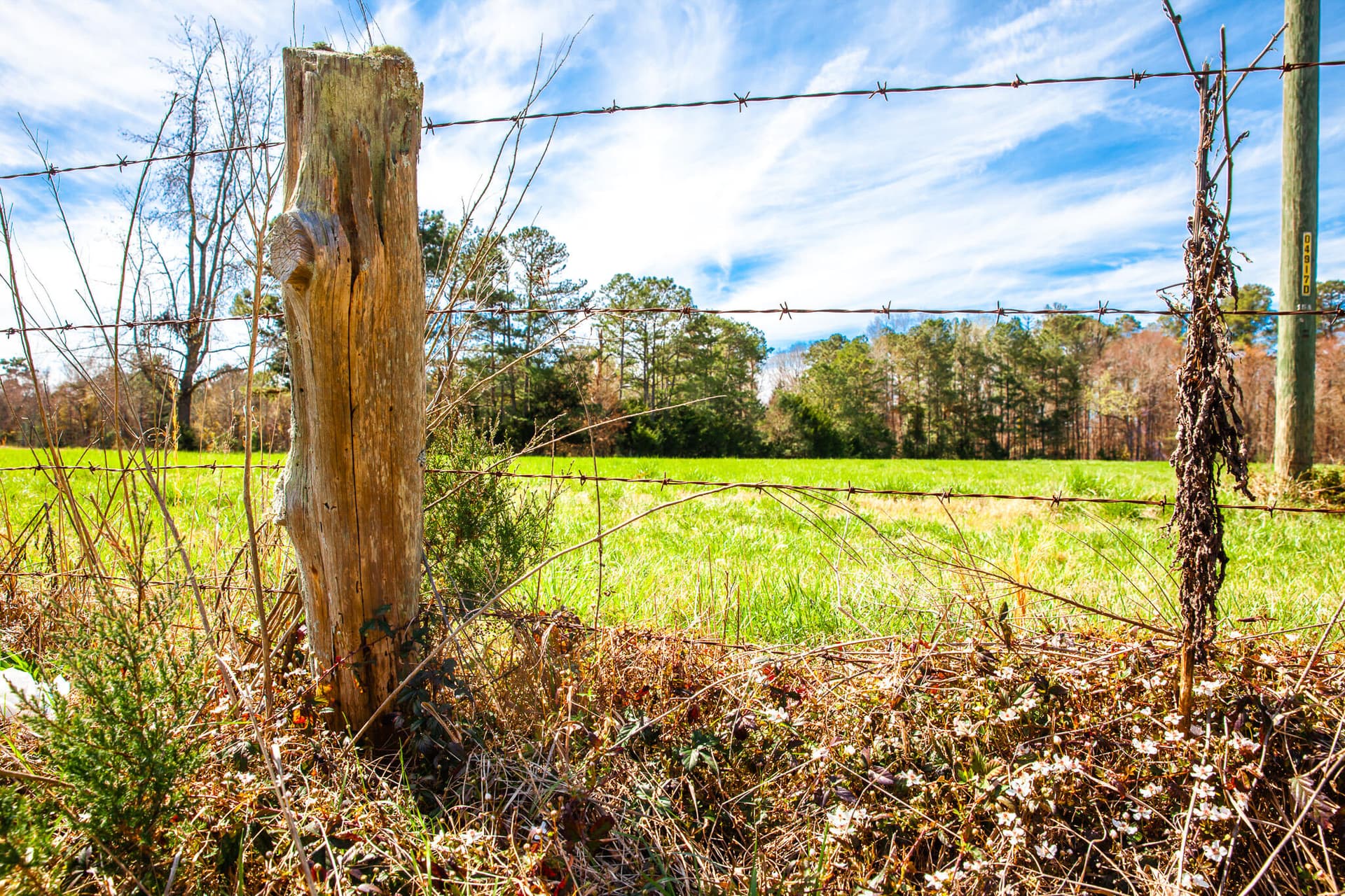 Undeveloped at 3520 3 Mistletoe Rd Road, Appling, GA 30802, photo 3 of 12