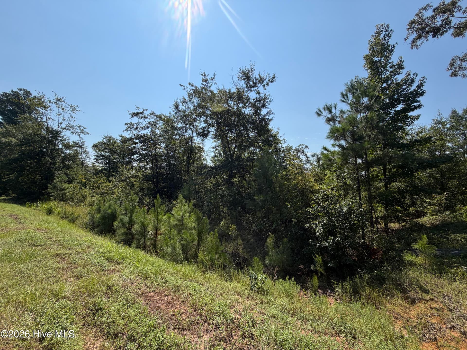 Residential Lot at 0 0 Poole Melton Road, Blythe, GA 30805, photo 12 of 15