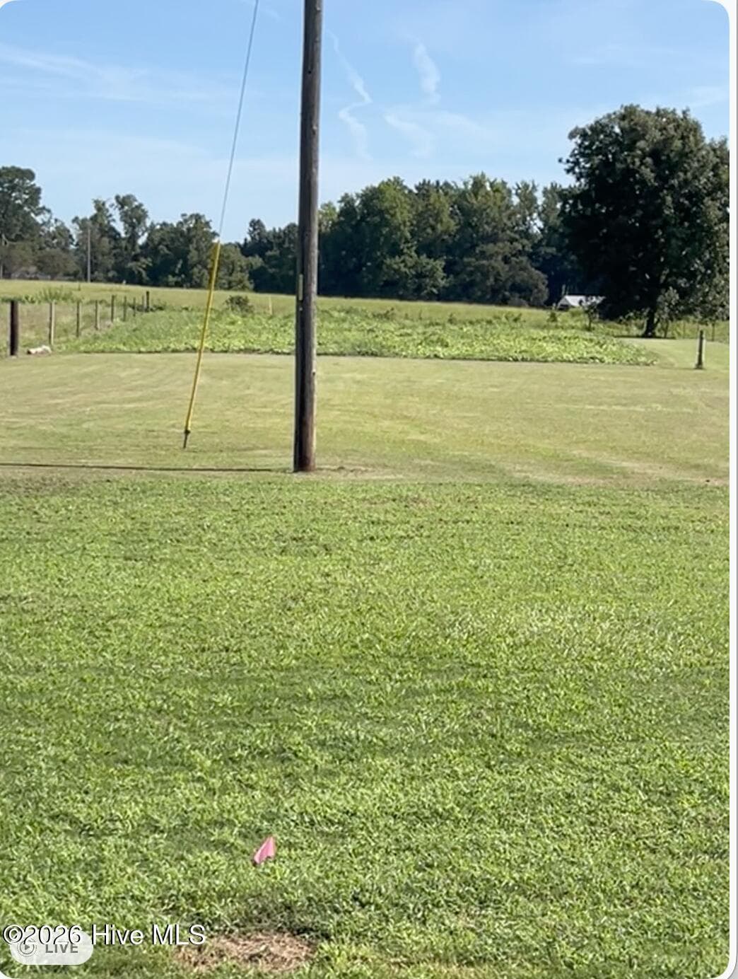 Pasture. Red flag in bottom of picture is property lined up with red flag at back of picture. - 642 Enoch Road, Clinton, NC 28328