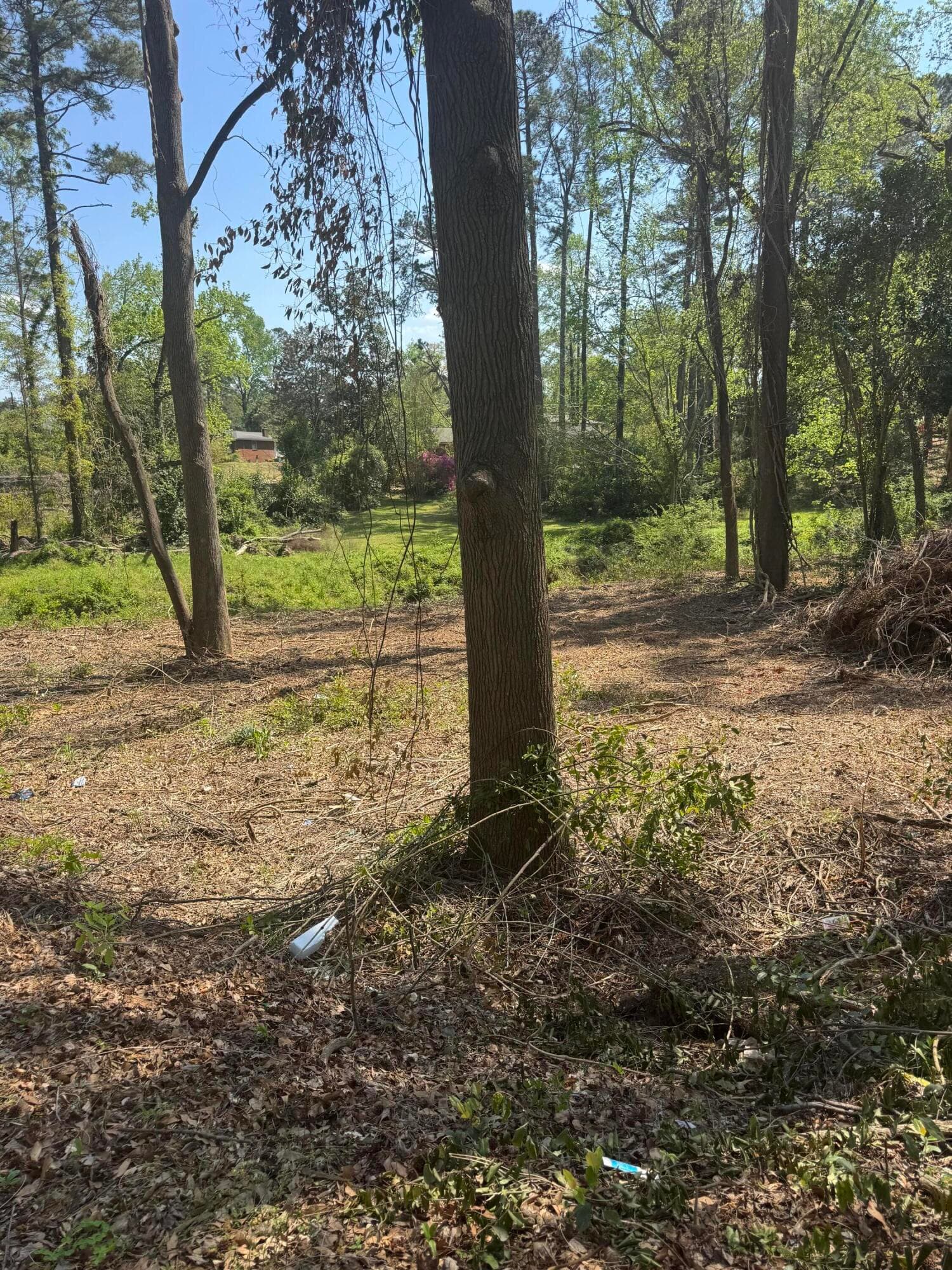Residential Lot at 3044 Wheeler Road, Augusta, GA 30909, photo 5 of 8