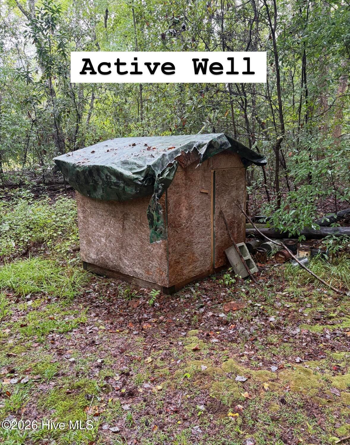 Undeveloped at Lot 4 4 Oak Haven Road, Atkinson, NC 28421, photo 6 of 6