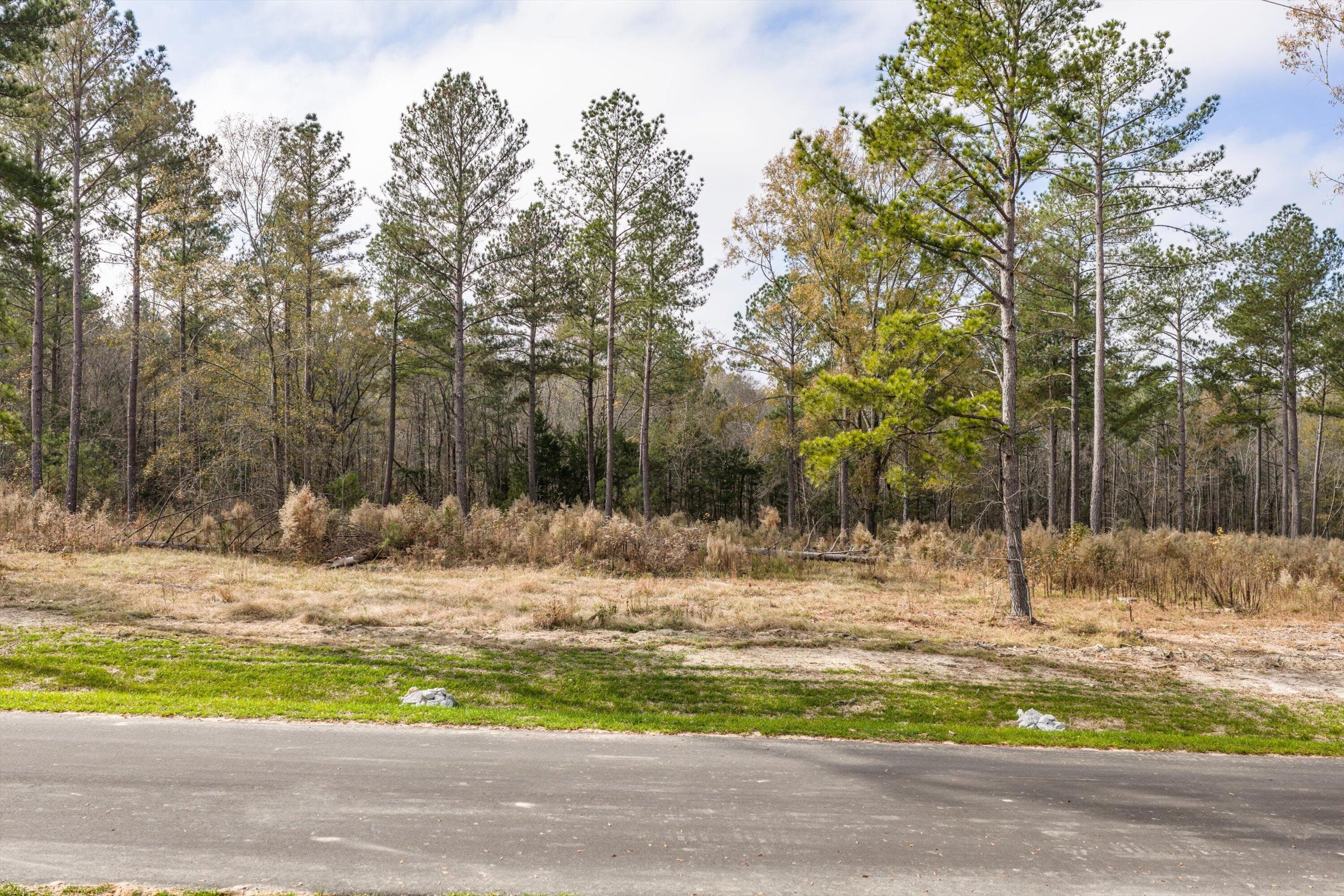 Residential Lot at 158 Beagle Chase Drive, Appling, GA 30802, photo 5 of 7