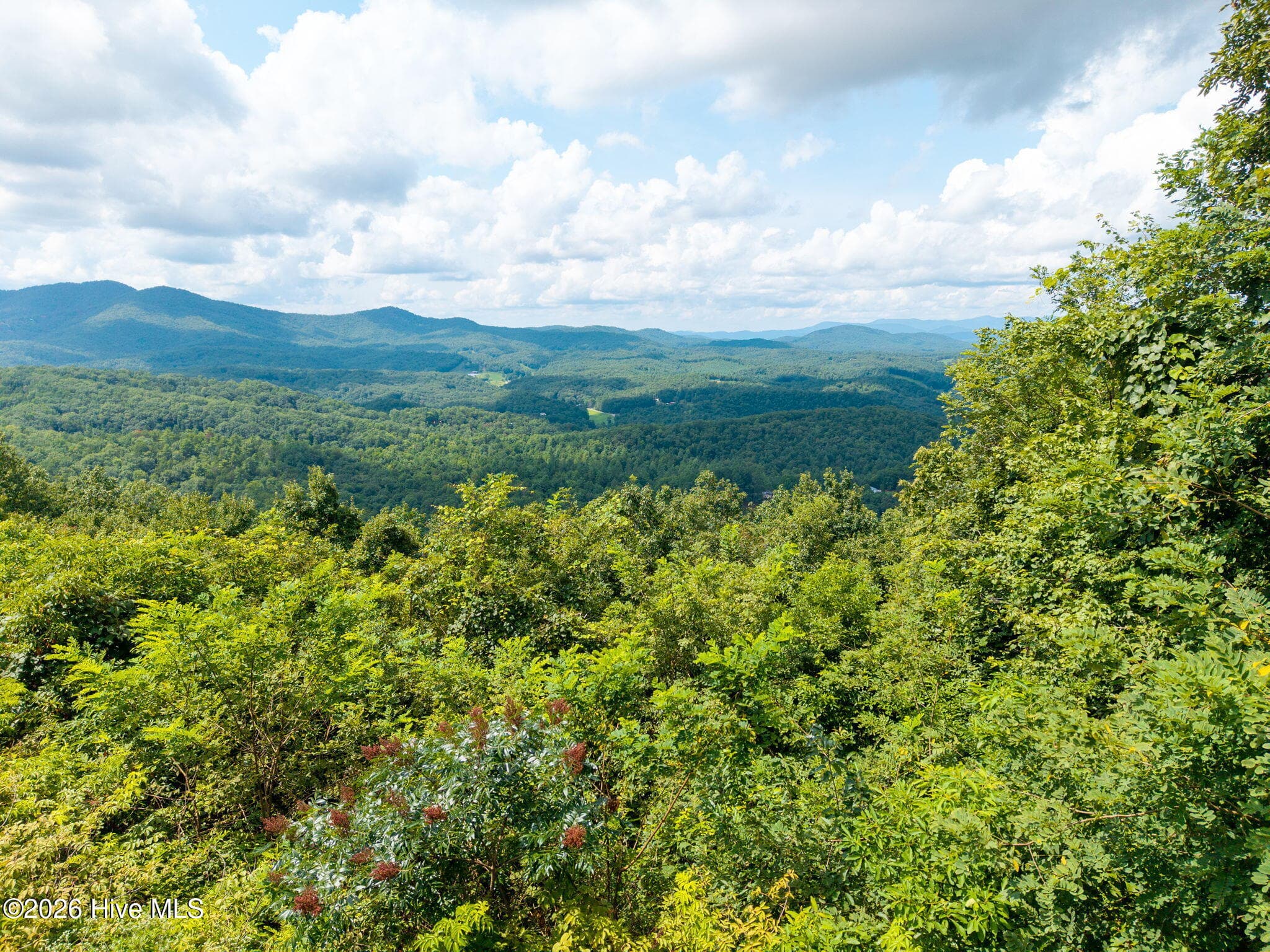 Undeveloped at 55 Buck Ridge Drive, Murphy, NC 28906, photo 3 of 15