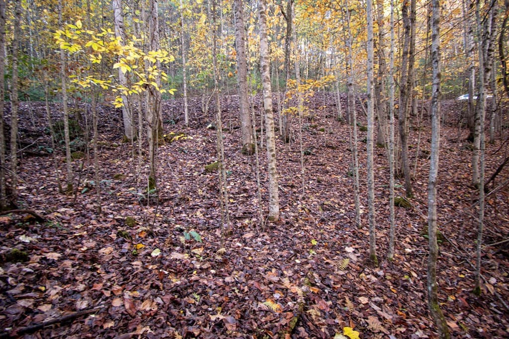 Wooded at Lt 66 66 Choctaw Ridge Trail, Murphy, NC 28906, photo 3 of 10
