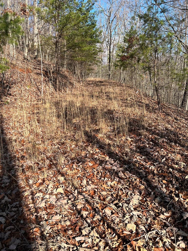 Residential Lot at Lot 56c 56C Indian Trail, Hayesville, NC 28904, photo 8 of 9