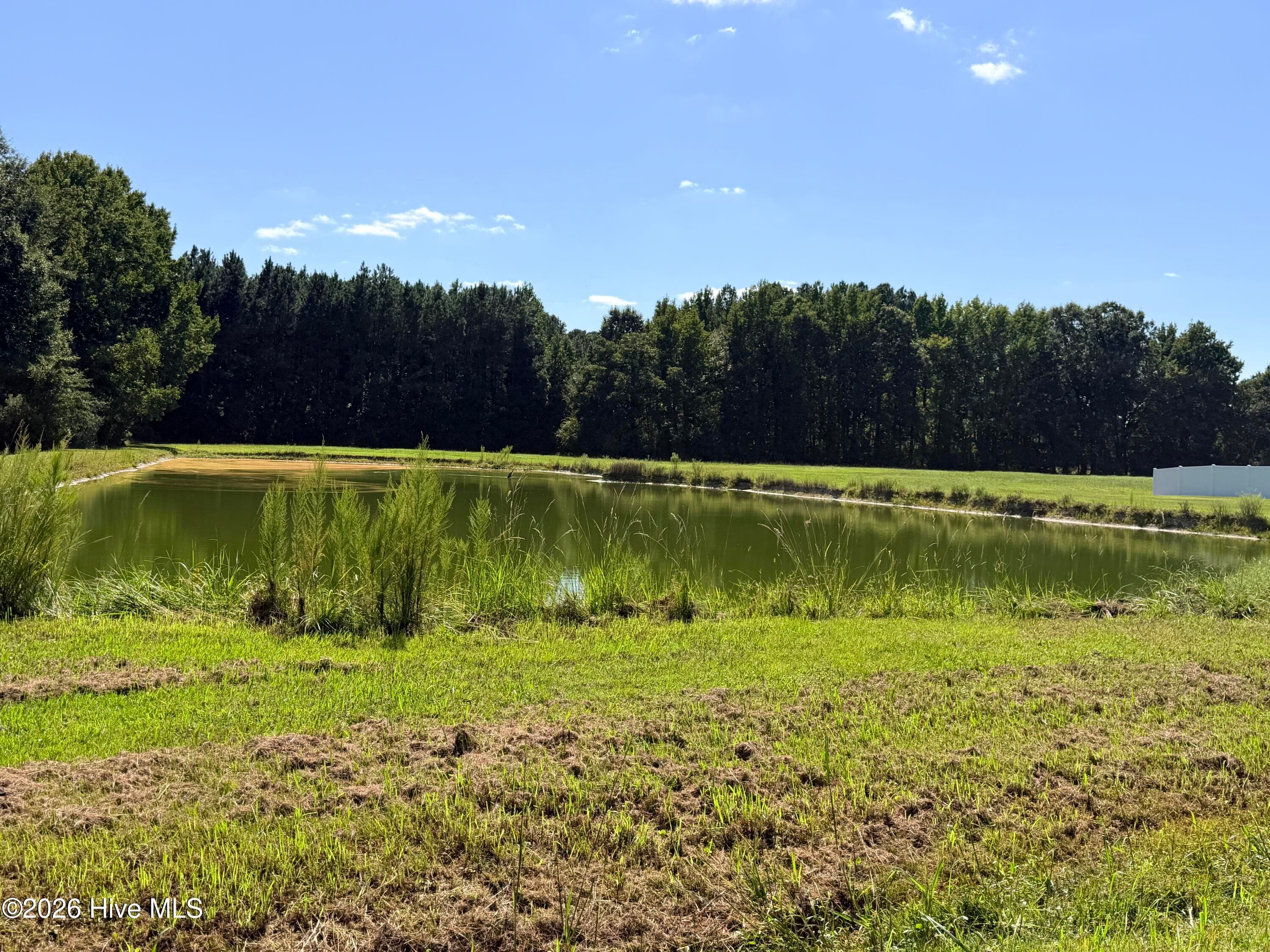 Large Pond can be seen from front windows. Enjoy the wildlife! - 120 Ranch Drive, Elizabeth City, NC 27909