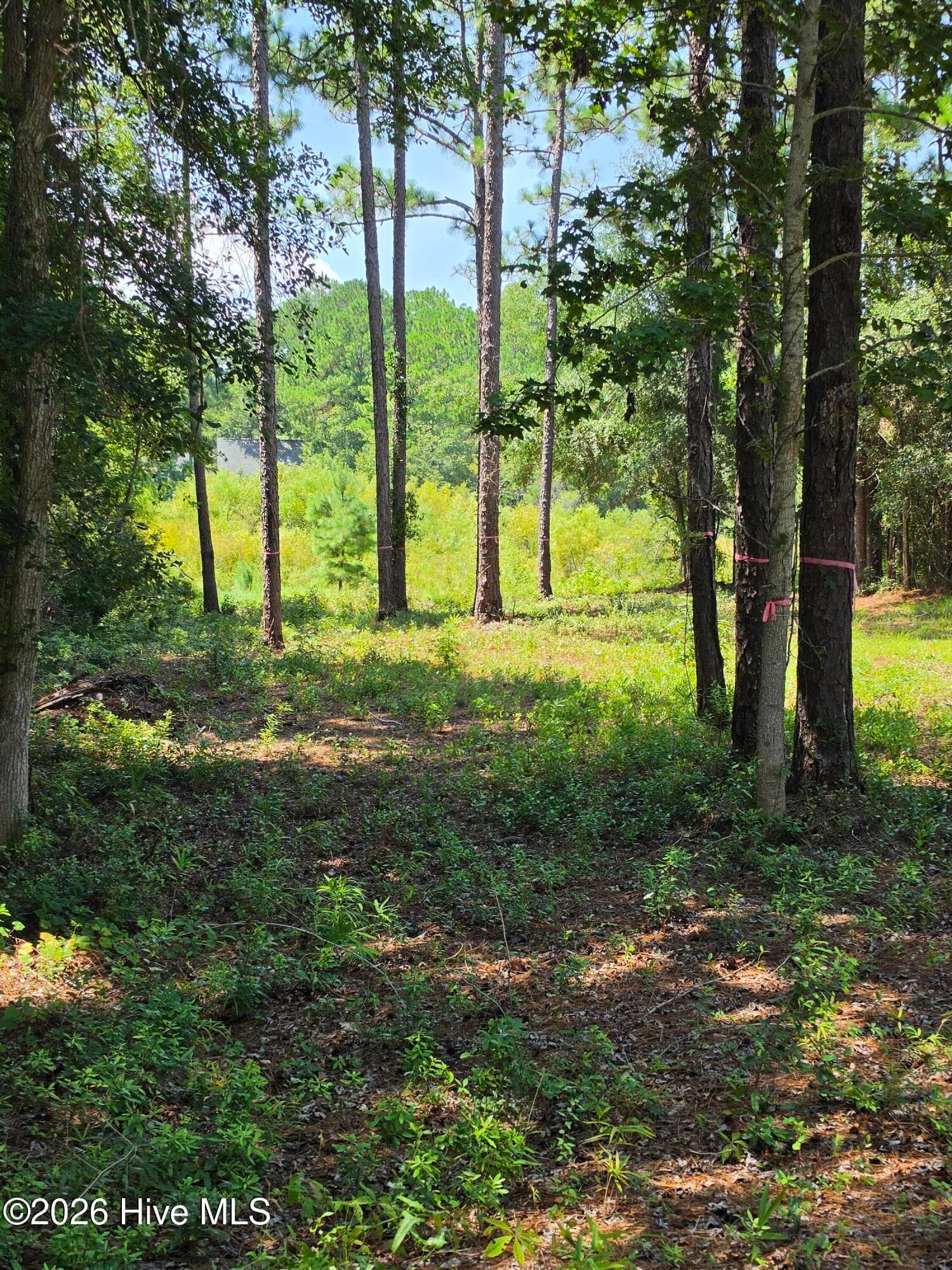BOILING SPRING LAKES NC - 44 Pine Shores Drive, Southport, NC 28461