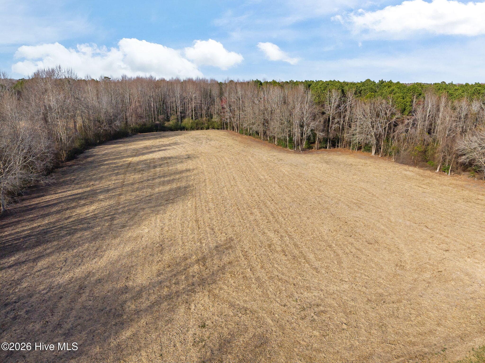 Undeveloped at 5238 Us 17 Highway N, Washington, NC 27889, photo 8 of 14