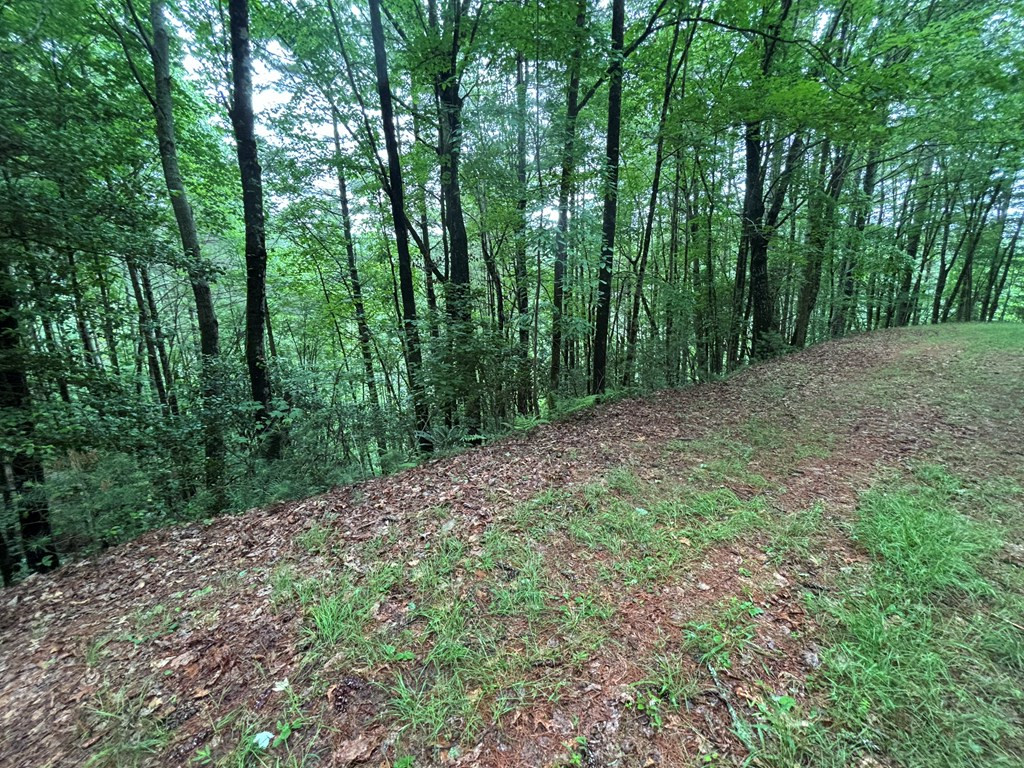 Land at Lot 11 Horse Camp Drive, Hayesville, NC 28904, Hayesville, photo 5 of 11