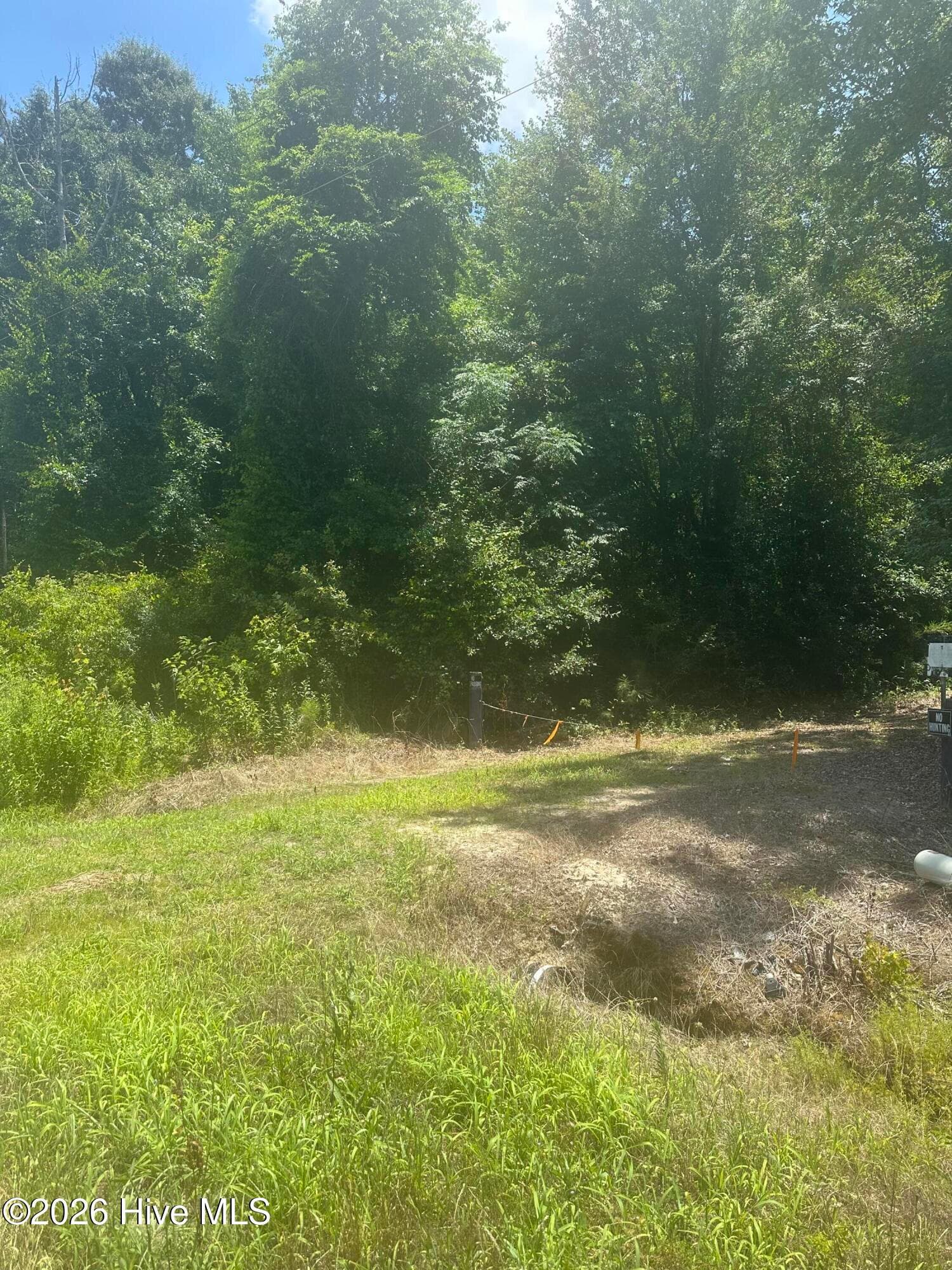 Wooded at Near 721 Near 721 Joe Piver R Road, Chadbourn, NC 28431, photo 9 of 21
