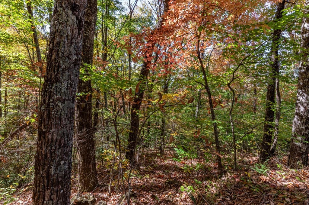 Undeveloped at Lot 38 38 Skyview At Wildlife Acres, Hayesville, NC 28904, Hayesville, photo 15 of 32