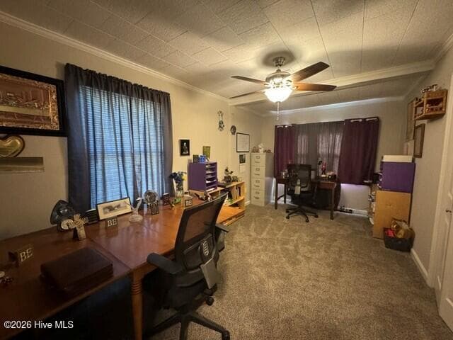 Single Family Residence at 9157 Us Hwy 158, Conway, NC 27820, Conway, photo 24 of 34