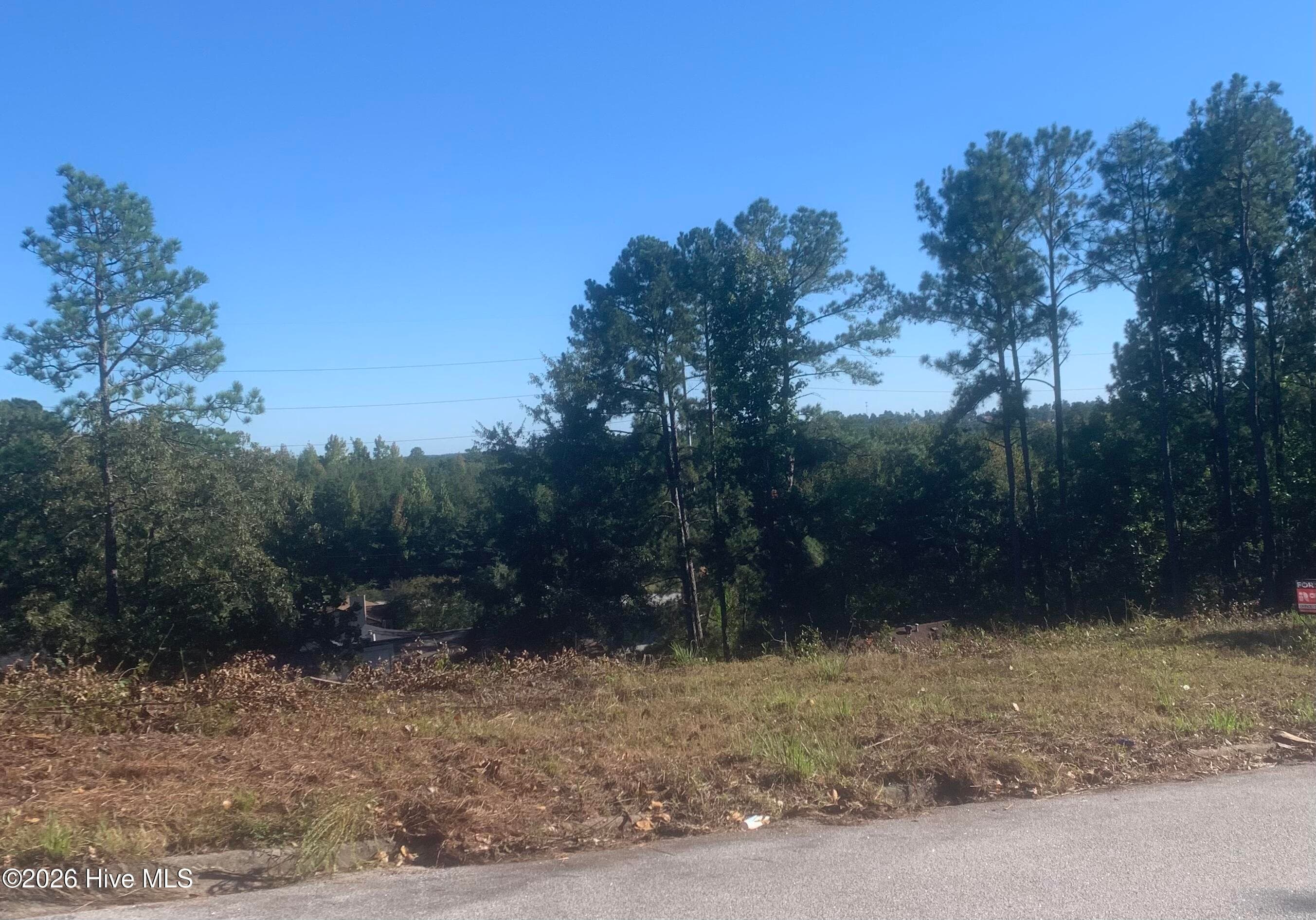 Residential Lot at 2333 Rutherford Avenue, Augusta, GA 30906, photo 4 of 16