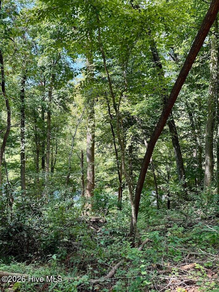 Residential Lot at Lots 5 & 6 Jasmine Drive, Marble, NC 28905, photo 14 of 23