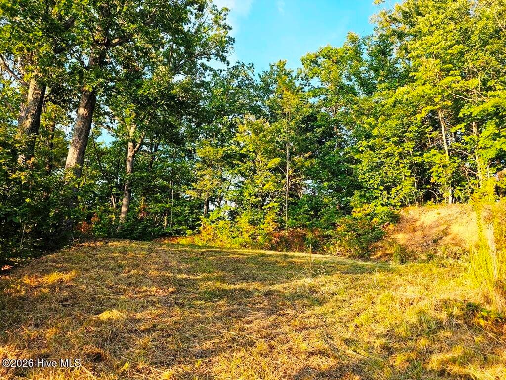 45 45 Timberwood Drive, Marble, NC 28905
