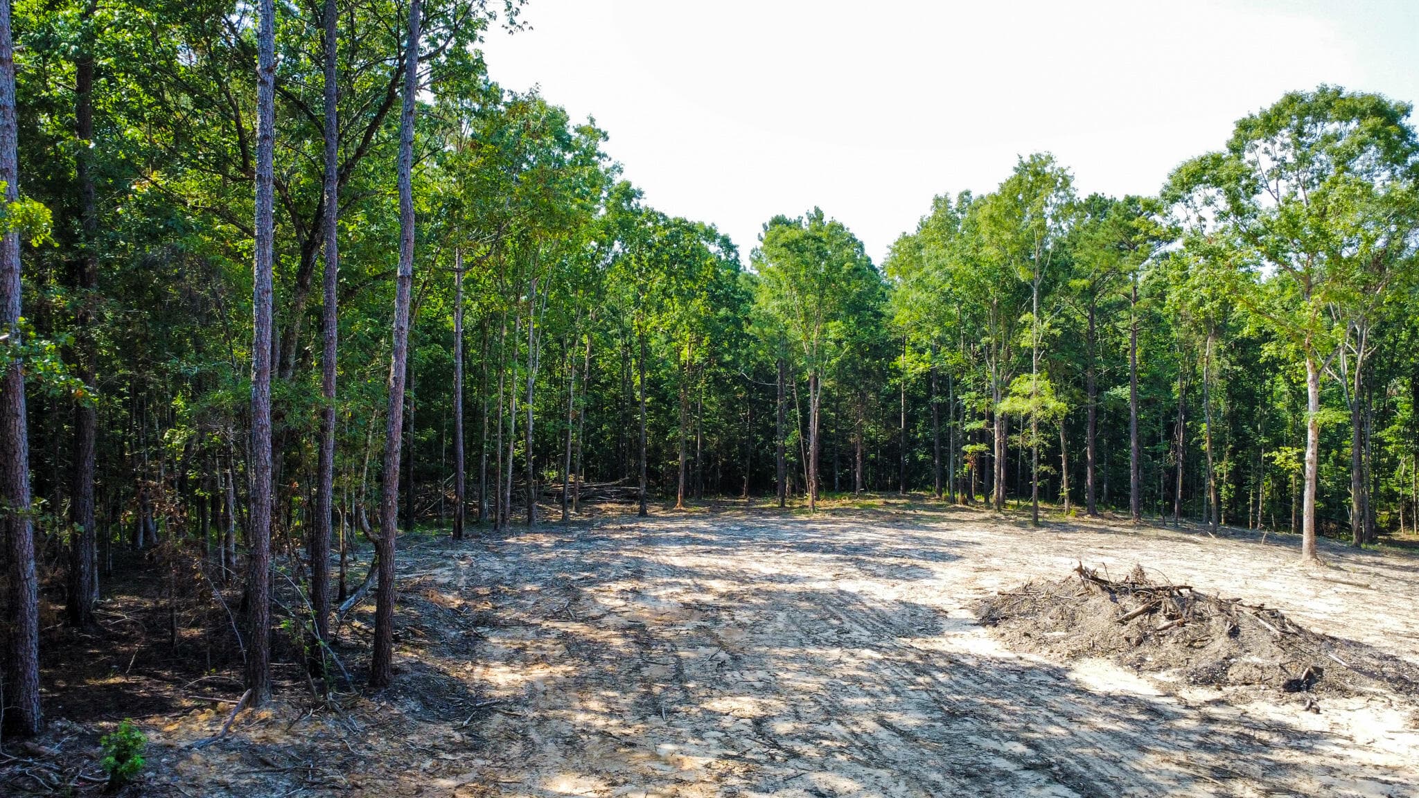 Undeveloped at 0 Backway Road, Lincolnton, GA 30817, photo 29 of 48