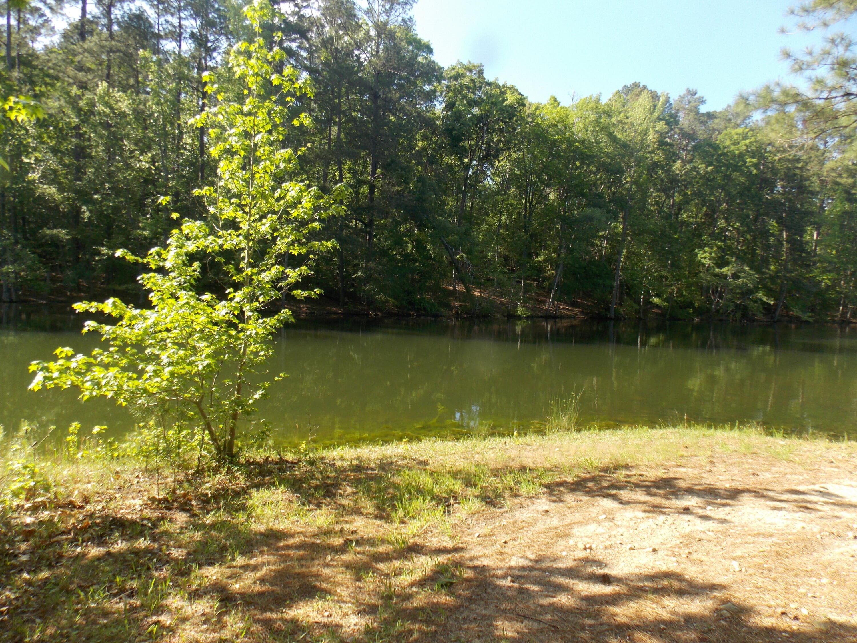 12 12 Riverview Court, Lincolnton, GA 30817