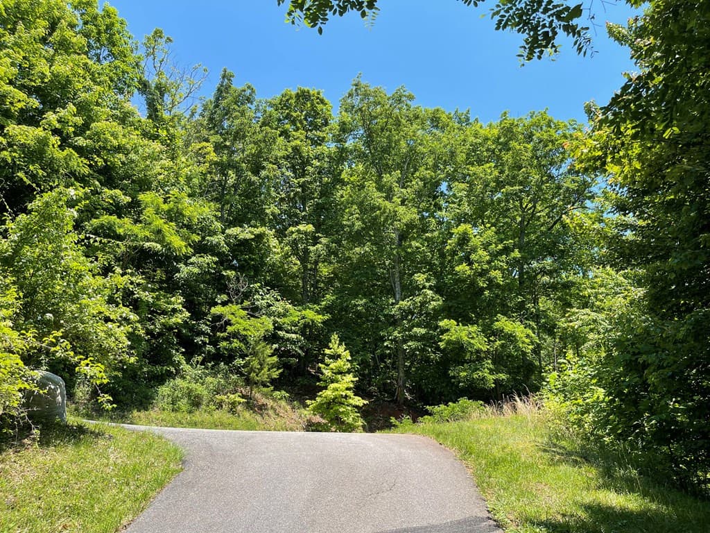 Residential Lot at Lot 33b 33B Grandview Drive, Hayesville, NC 28904, Hayesville, photo 4 of 8