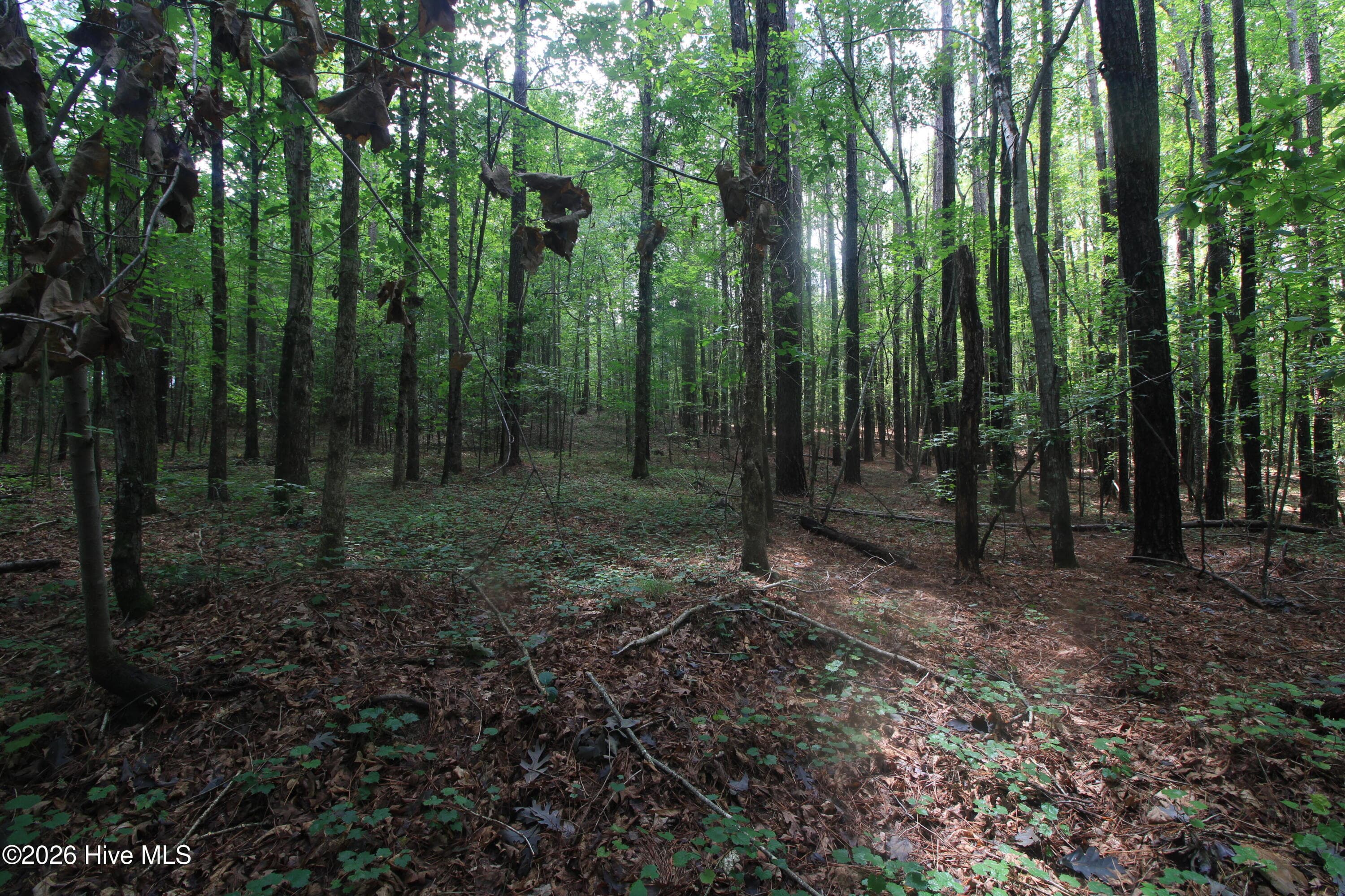 Residential Lot at 0 Crowatan Trail, Carthage, NC 28327, photo 25 of 35