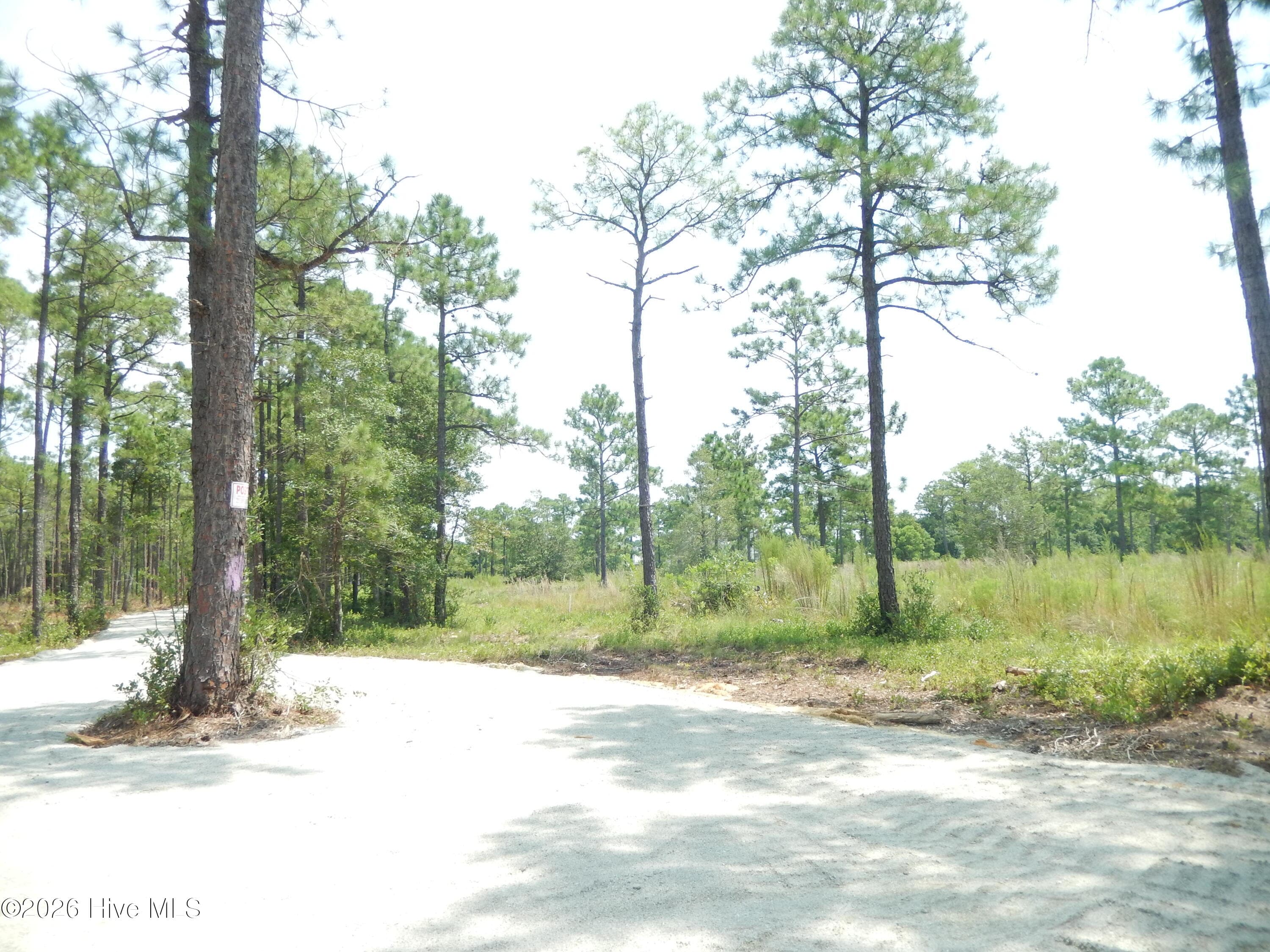 Undeveloped at 372 Greenview Ranches, Wilmington, NC 28411, photo 15 of 61