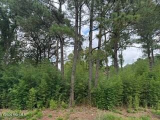 Undeveloped at 1298 3 Moores Chapel Road, Lillington, NC 27546, photo 2 of 5
