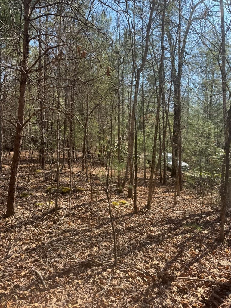 Residential Lot at 00 Blue Ridge Heights, Hayesville, NC 28906, Hayesville, photo 10 of 11