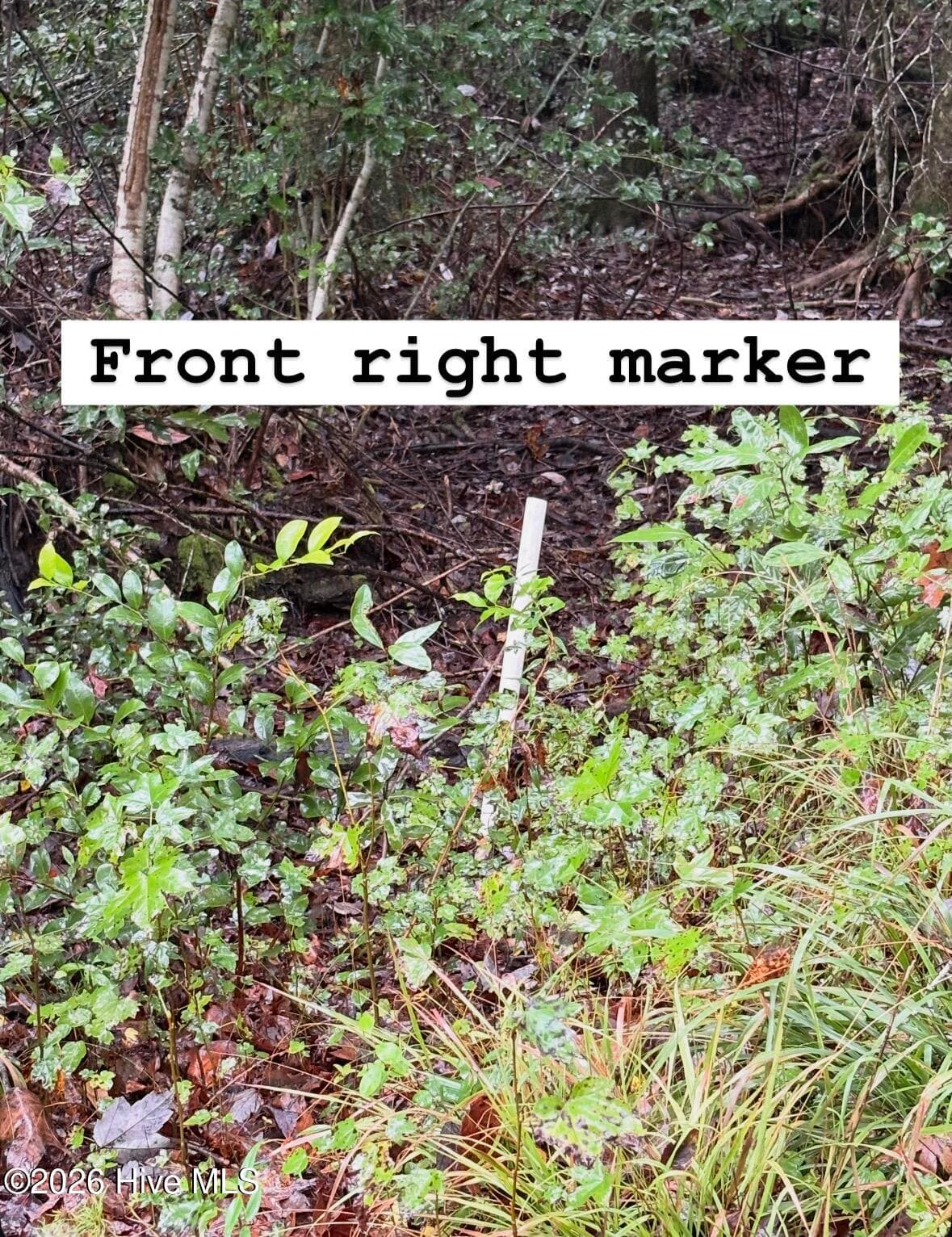 Undeveloped at Lot 4 4 Oak Haven Road, Atkinson, NC 28421, photo 5 of 6