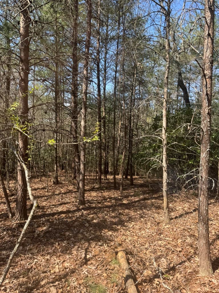 Residential Lot at 00 Blue Ridge Heights, Hayesville, NC 28906, Hayesville, photo 9 of 11