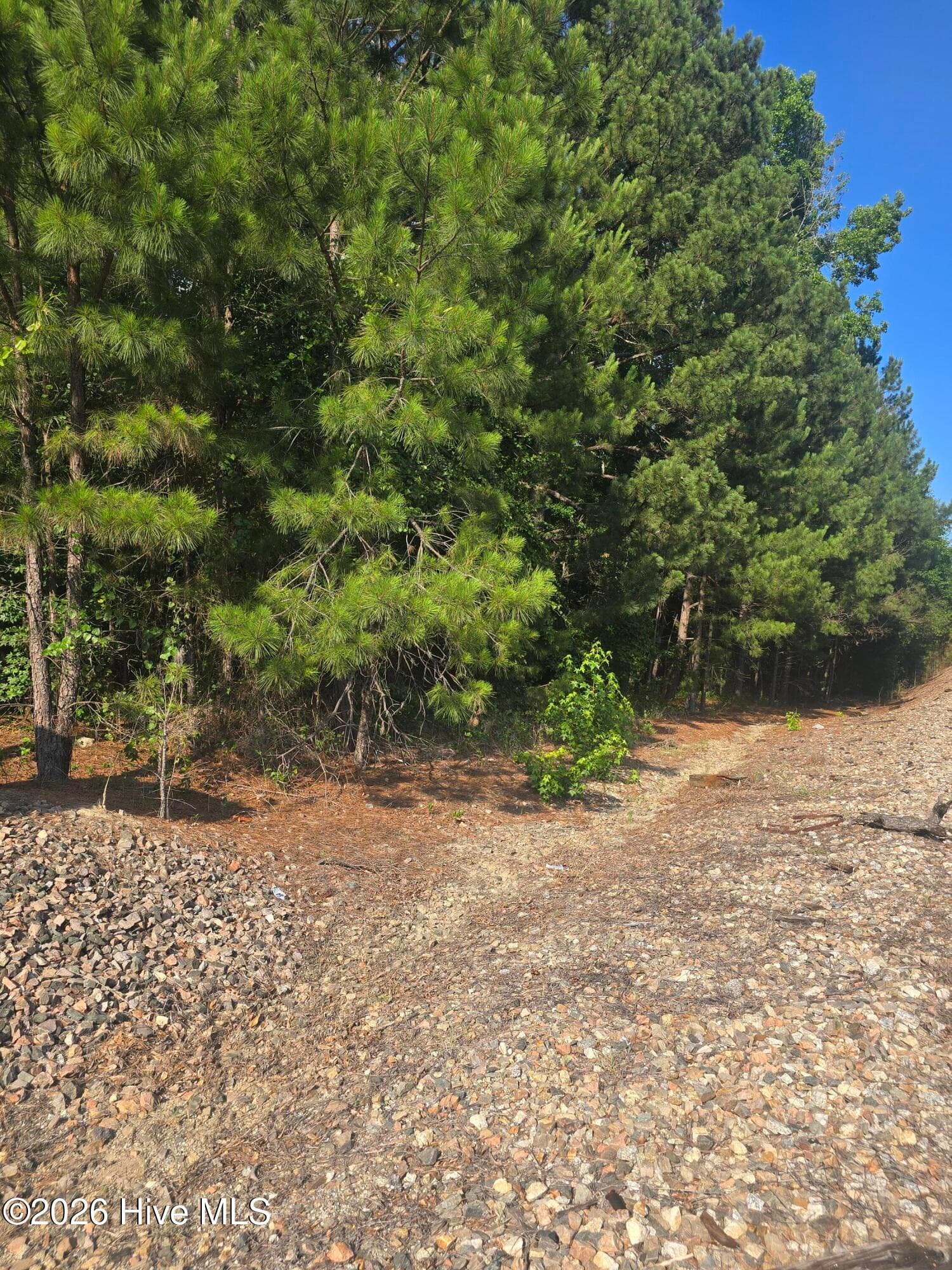 Wooded at 3454 Lewis Road, Augusta, GA 30909, photo 5 of 5