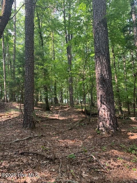 Residential Land at 54 54 Palomino Road, Carthage, NC 28327, photo 17 of 20