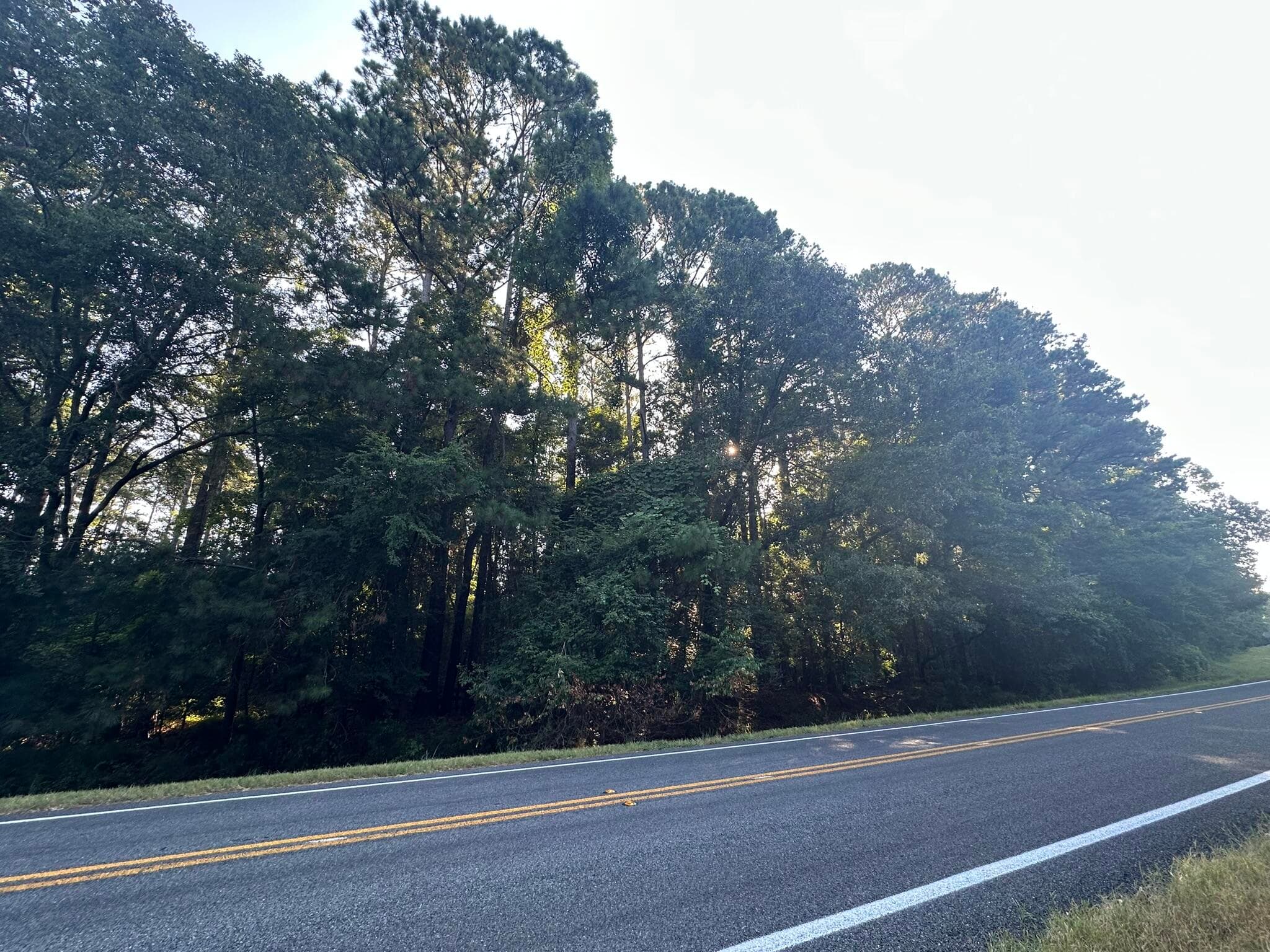Mixed Use at Lot 3a 3A Elberton Highway, Lincolnton, GA 30817, photo 3 of 27