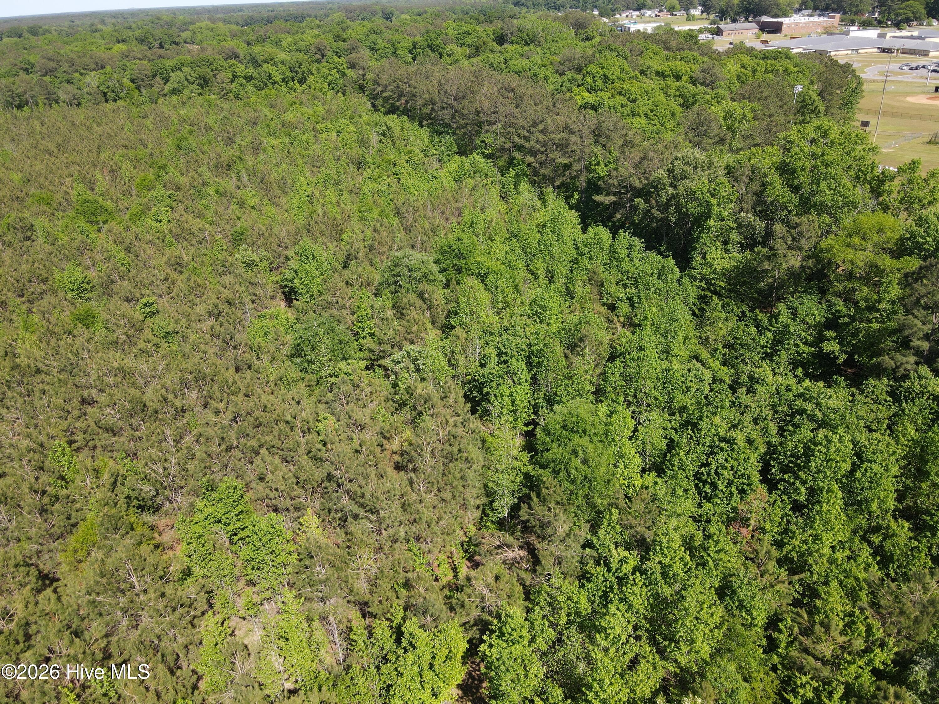 Undeveloped at 0 Colice Hall Lane, Ahoskie, NC 27910, photo 11 of 20
