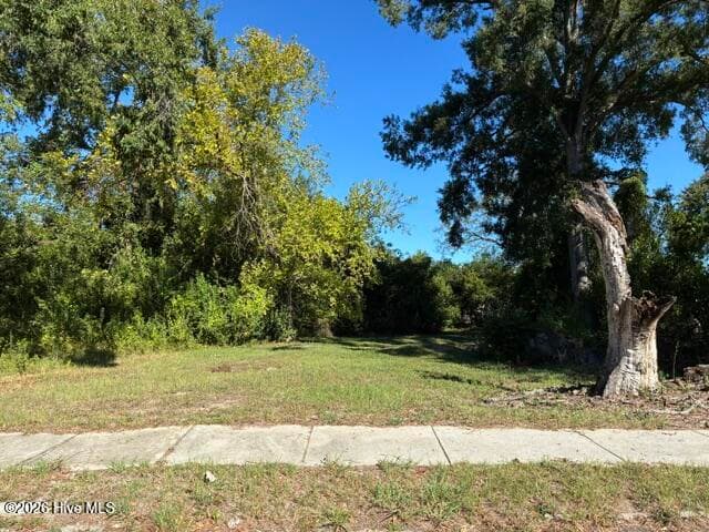 1919 Steiner Avenue, Augusta, GA 30901