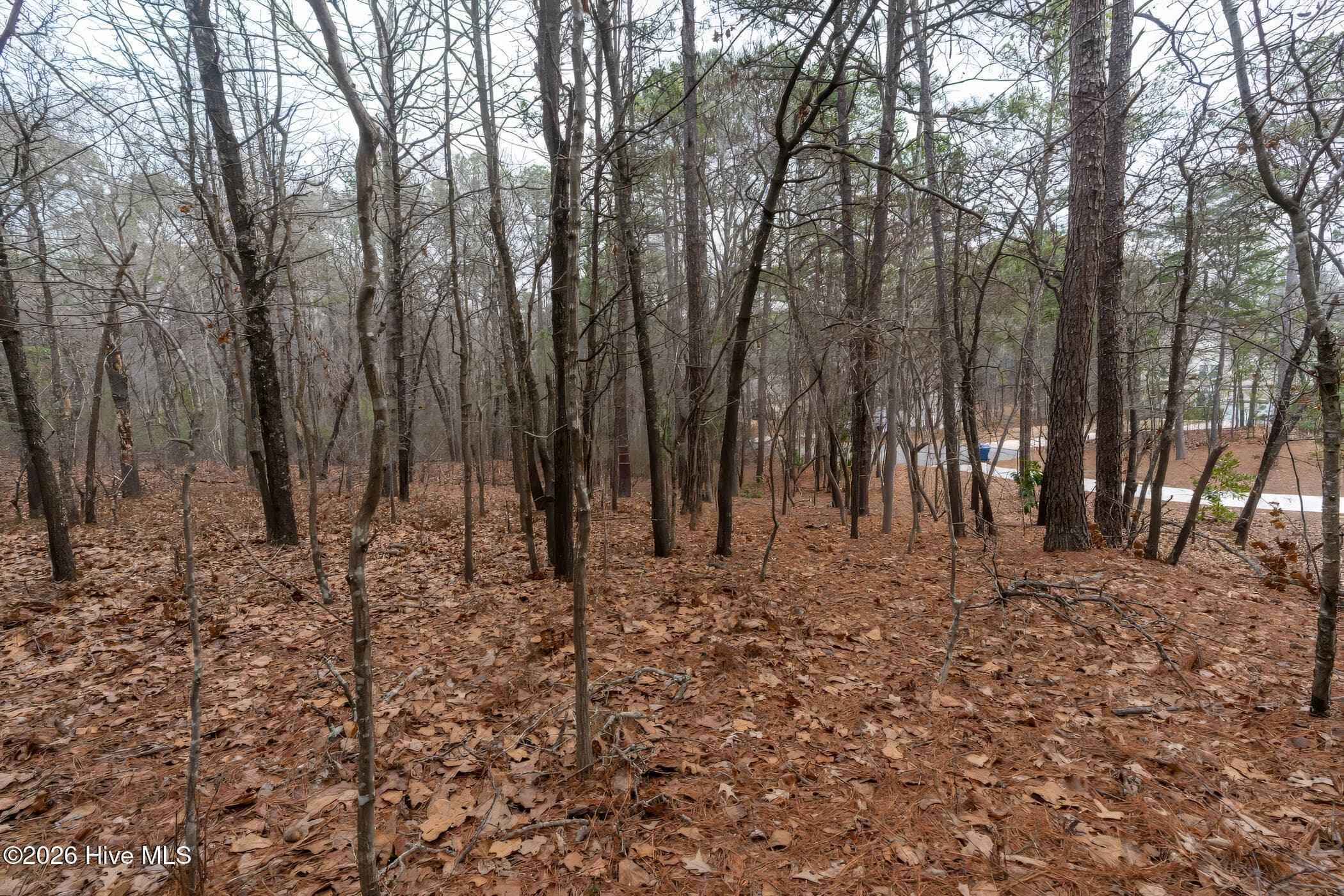 Residential Lot at 102 Ramsgate Court, Seven Lakes, NC 27376, photo 3 of 11