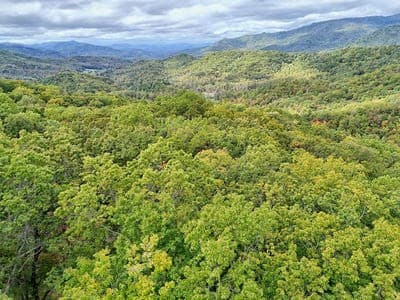 Residential Lot at Lot 31 31 Skyview Trail, Hayesville, NC 28904, Hayesville, photo 3 of 11