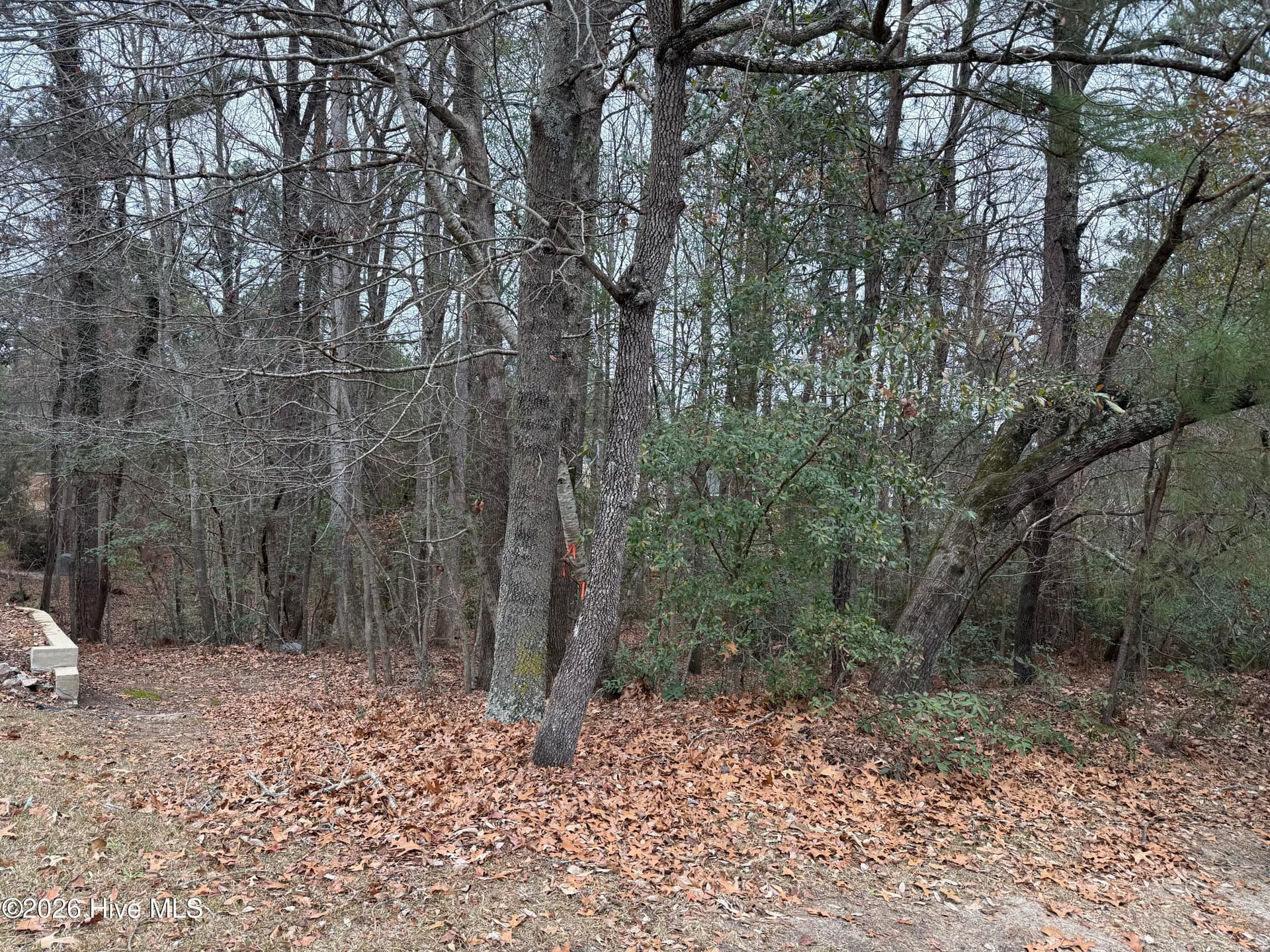 275 Canter Lane - 275 Canter Lane, Pinehurst, NC 28374