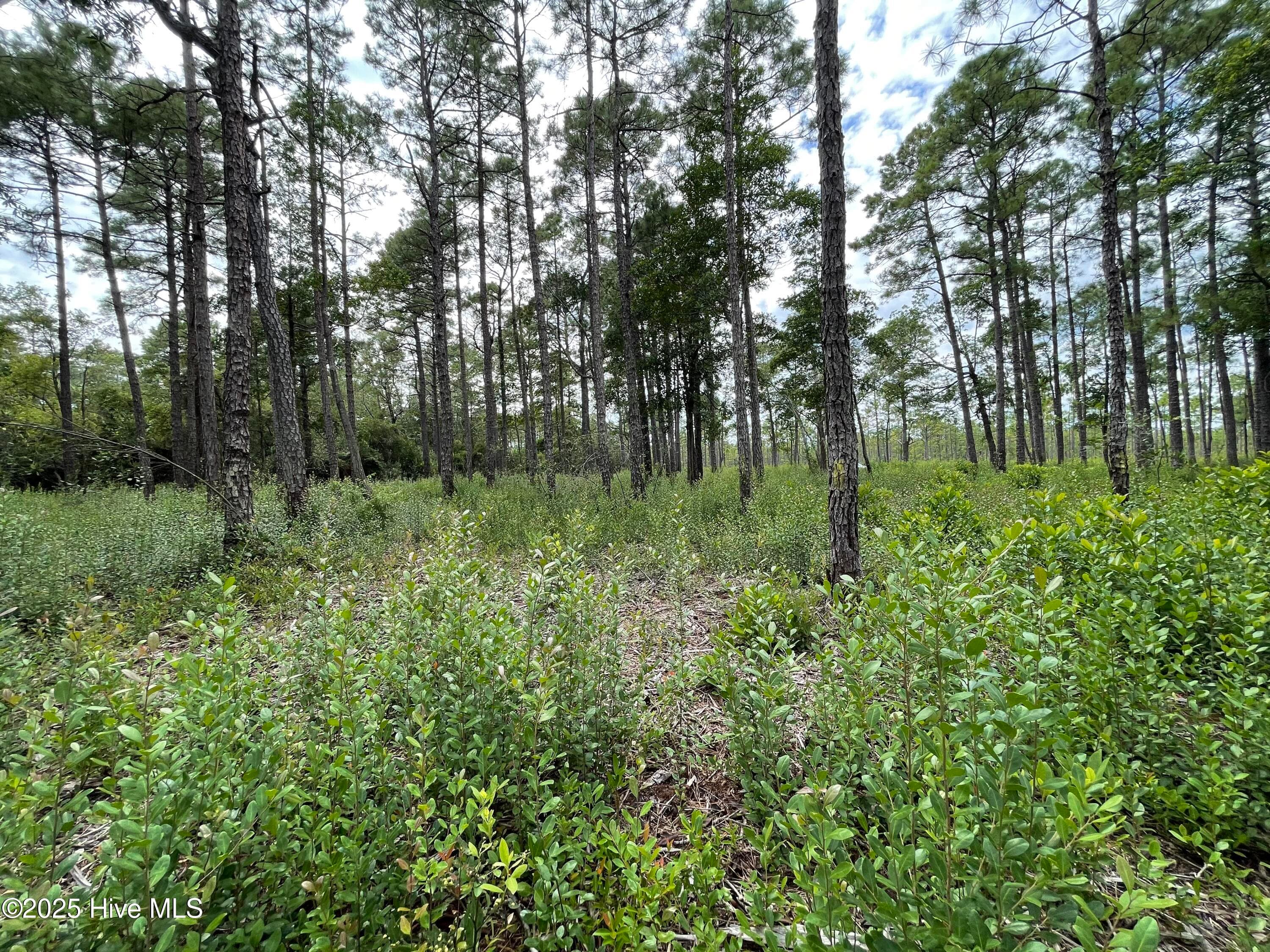Residential Lot at 811 Brittany Road, Southport, NC 28461, photo 19 of 25