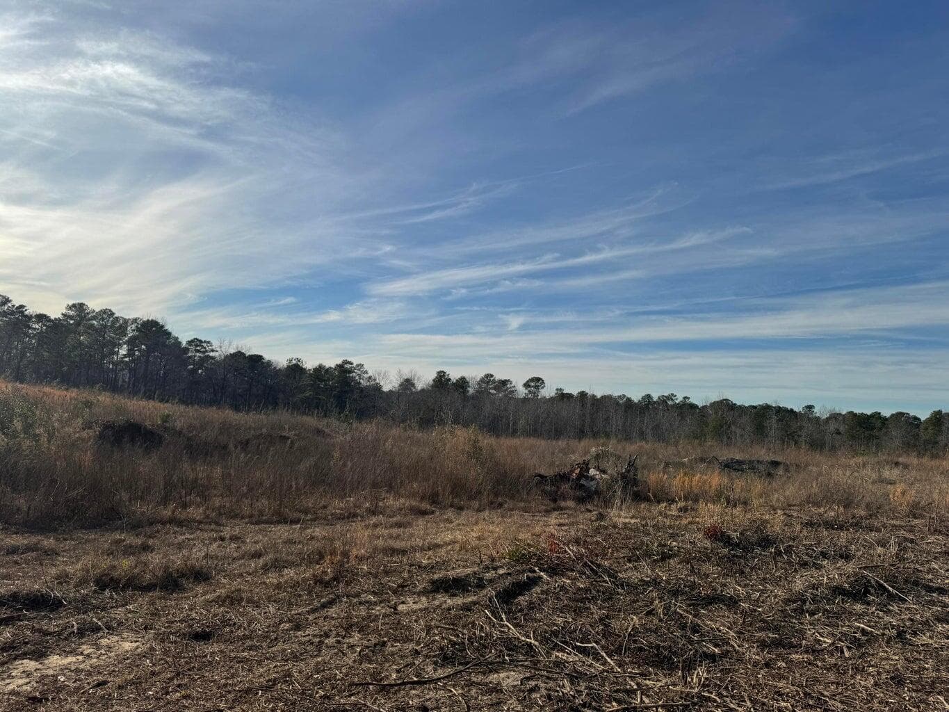 Undeveloped at 450 Bergen Road, North Augusta, SC 29860, photo 3 of 9