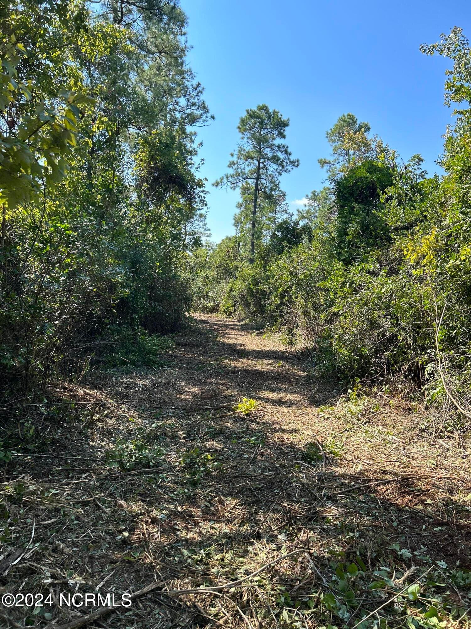 Residential Lot at 326 Sand Ridge Road, Hubert, NC 28539, photo 2 of 2