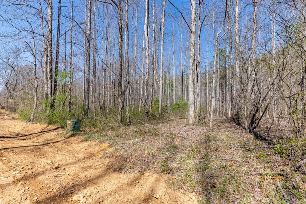 Land at Lots 12+ Tusquittee Crossing, Hayesville, NC 28904, Hayesville, photo 3 of 14