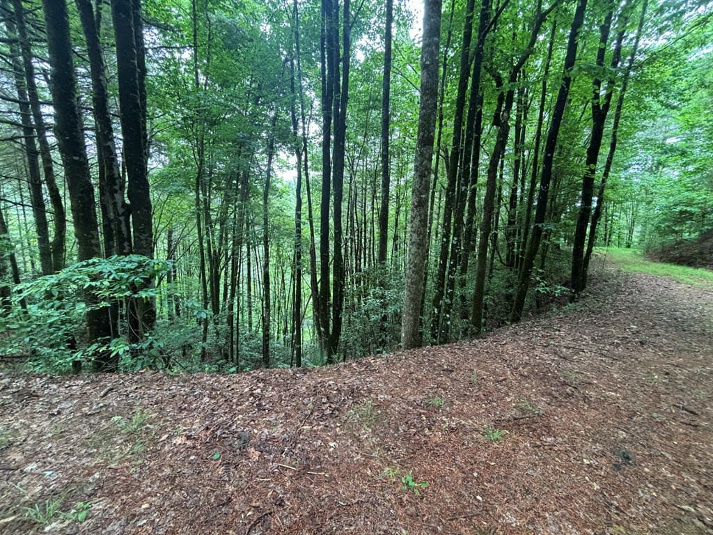 Land at Lot 11 Horse Camp Drive, Hayesville, NC 28904, Hayesville, photo 2 of 11
