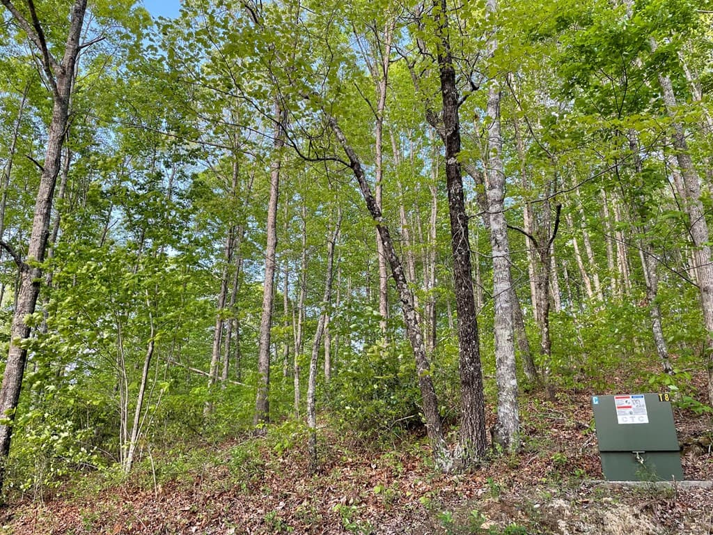Land at N/A Trillium Heights, Hayesville, NC 28904, photo 3 of 25