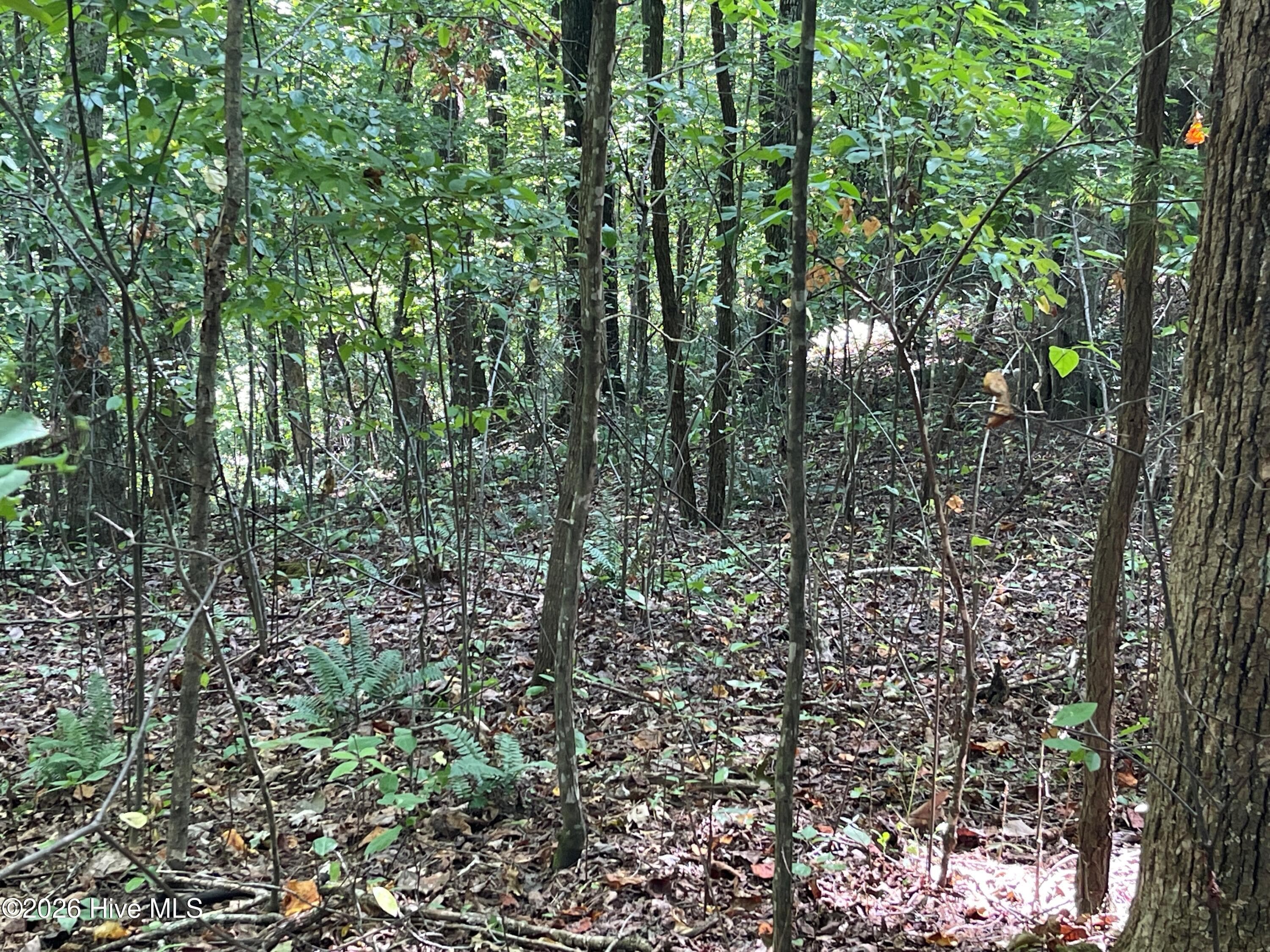 81a-82a 81A-82A Licklog Road, Hayesville, NC 28904